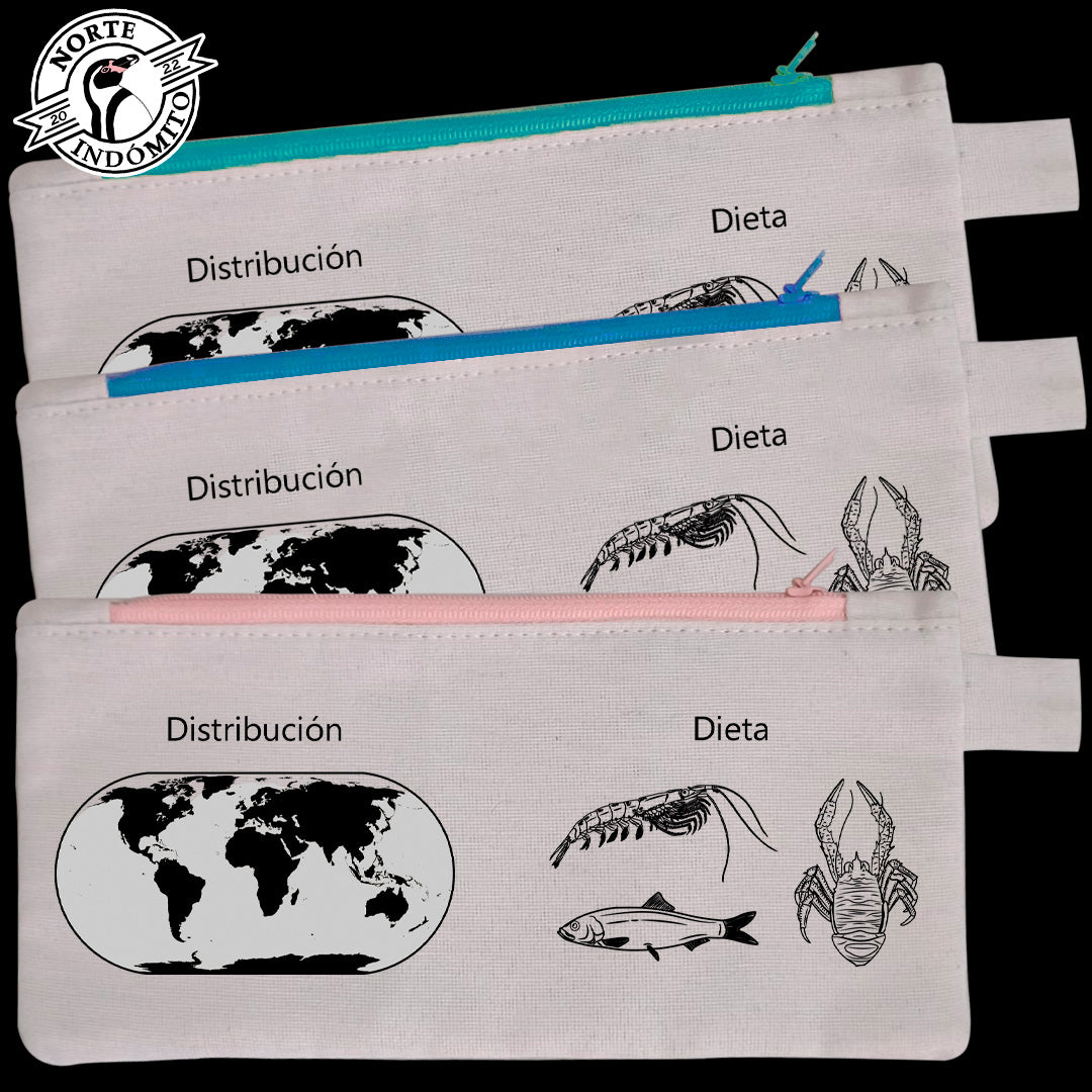 Estuche - ballena jorobada distribución