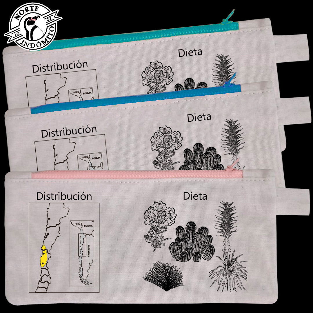 Estuche - chinchilla de cola larga