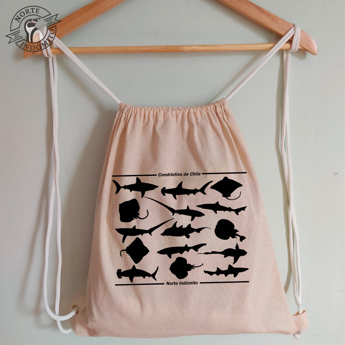 Mochila - condrictios silueta