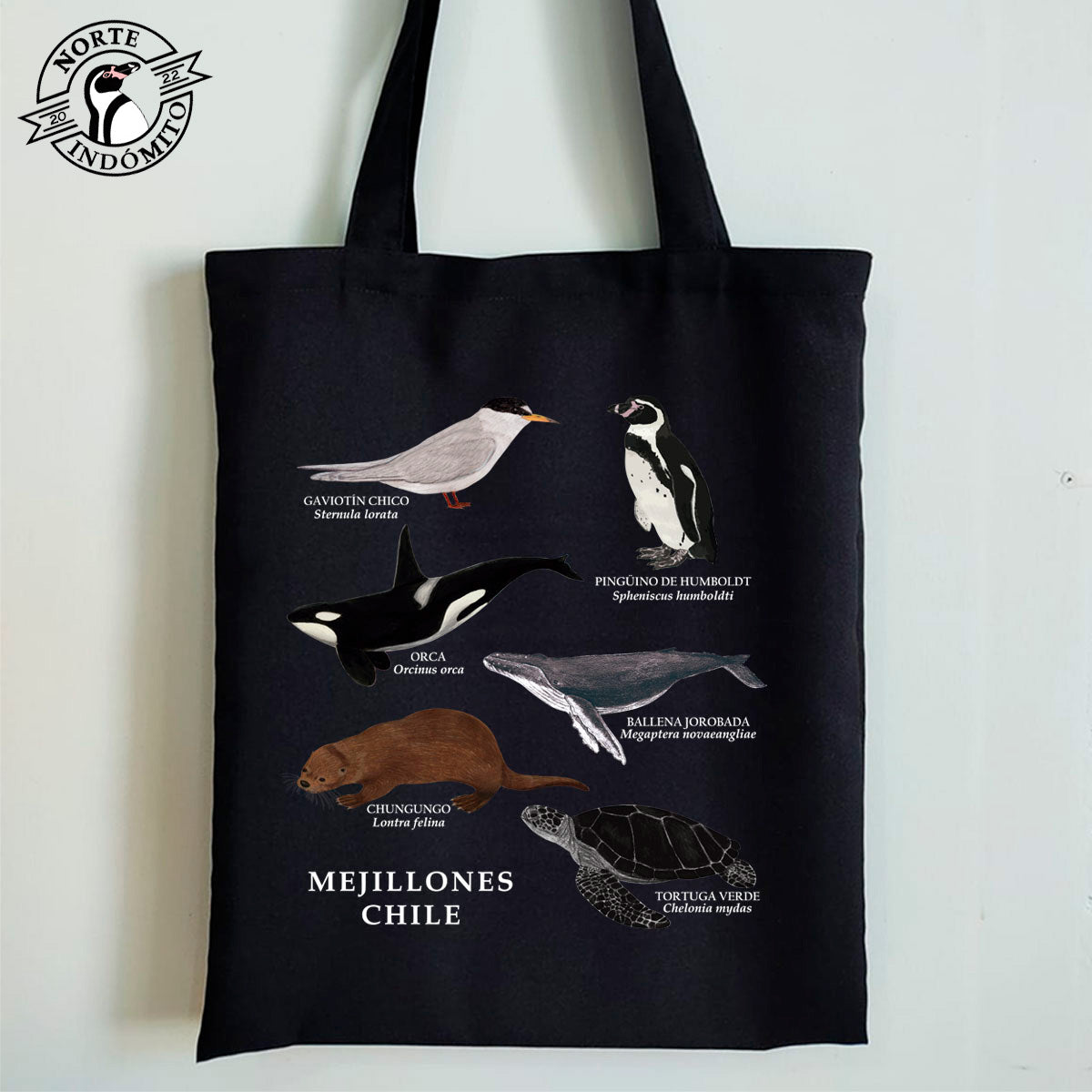 Totebag - fauna marina Mejillones