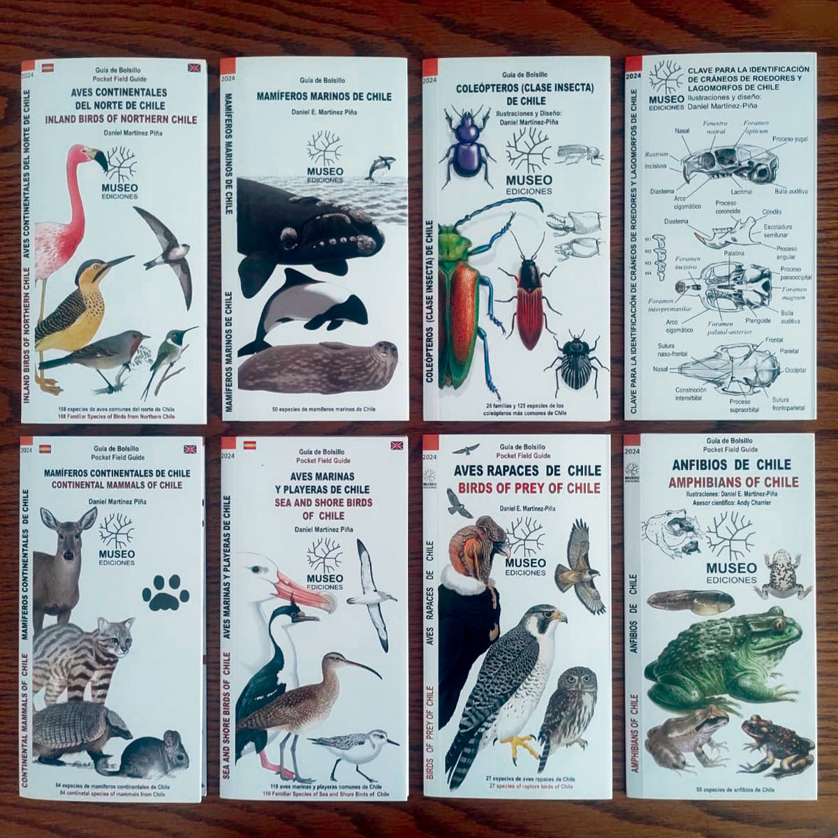 GUÍAS DE CAMPO - MUSEO EDICIONES