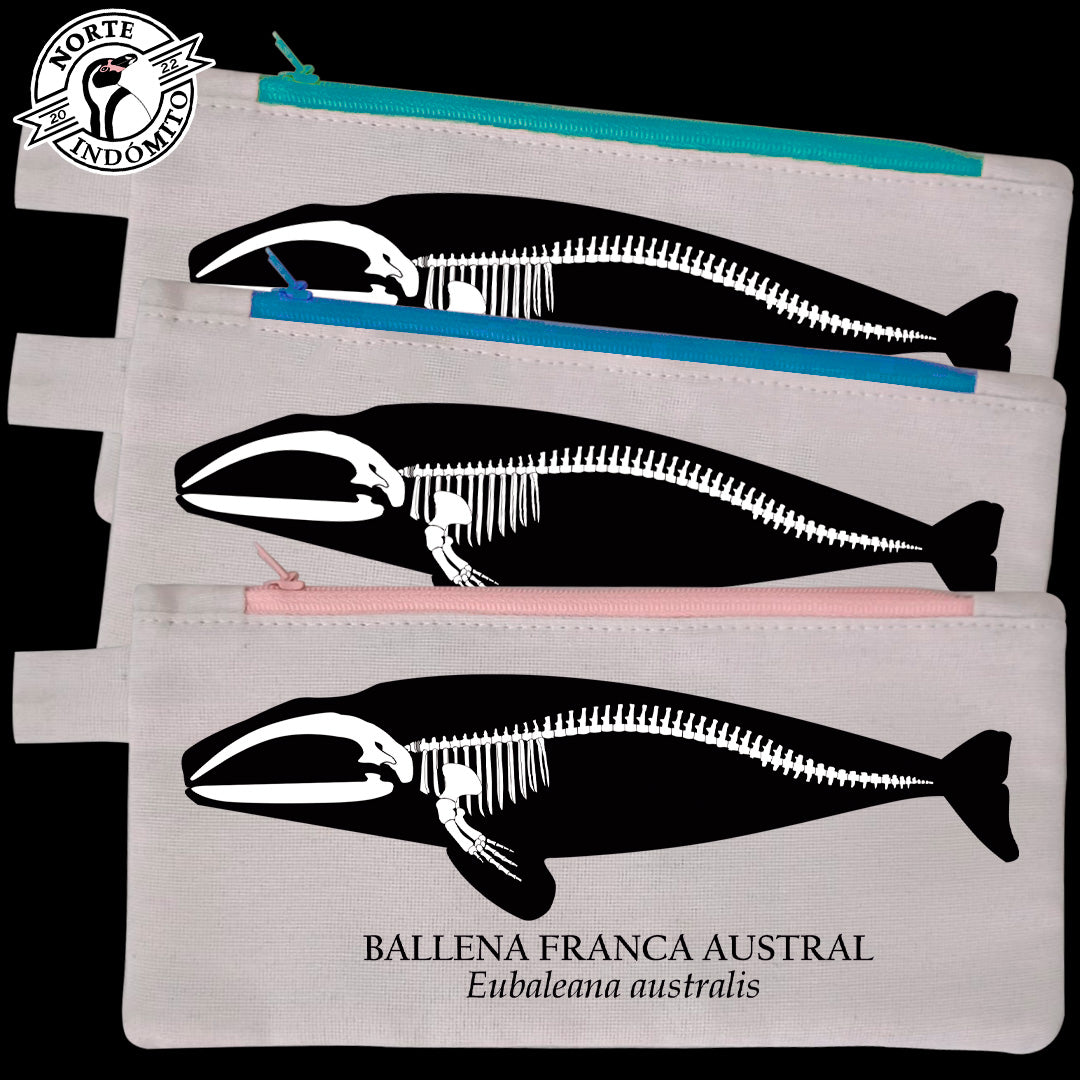 Estuche - ballena franca austral esqueleto