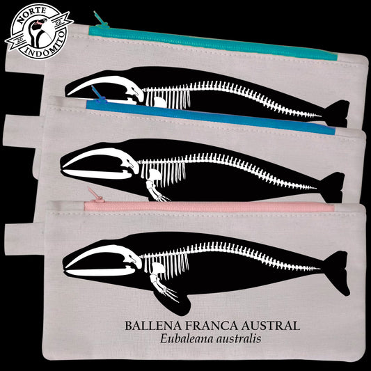 Estuche - ballena franca austral esqueleto