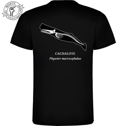 Polera - cachalote esqueleto