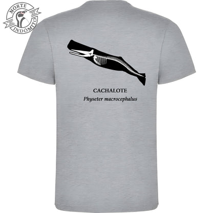 Polera - cachalote esqueleto
