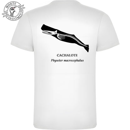 Polera - cachalote esqueleto