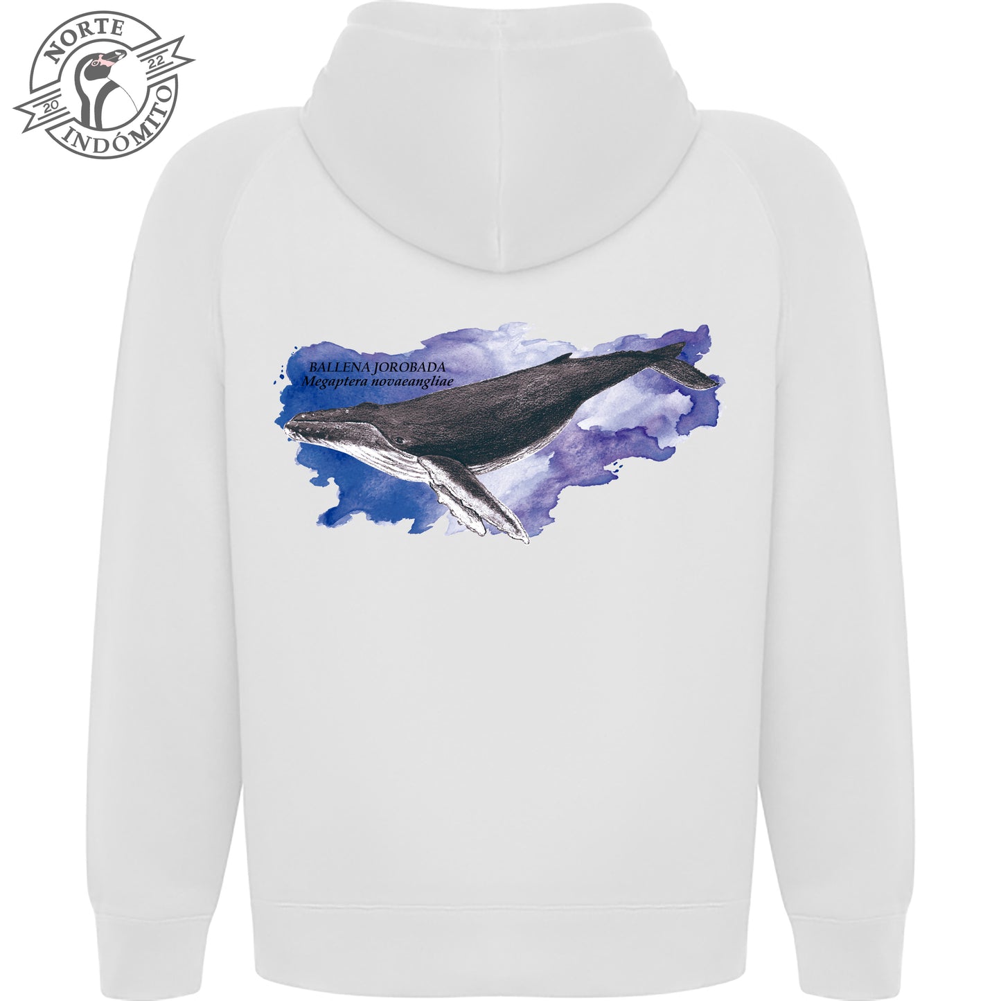 Polerón - ballena jorobada acuarela