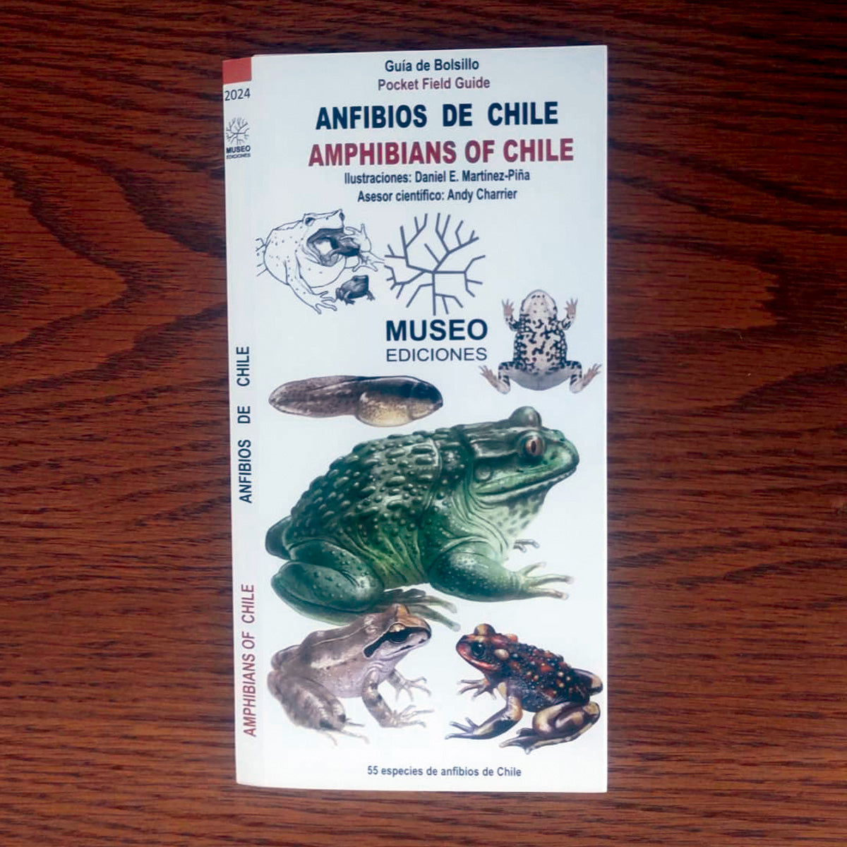 Guía de campo - anfibios de Chile