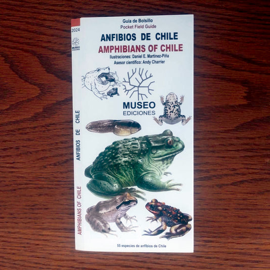 Guía de campo - anfibios de Chile