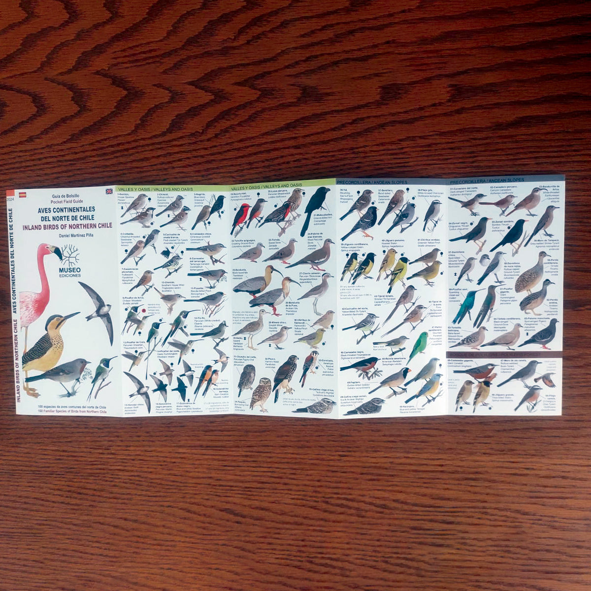 Guía de campo - aves continentales del norte de Chile