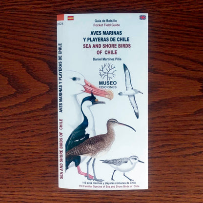 Guía de campo - aves marinas y playeras de Chile
