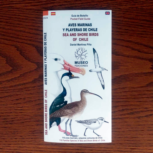 Guía de campo - aves marinas y playeras de Chile