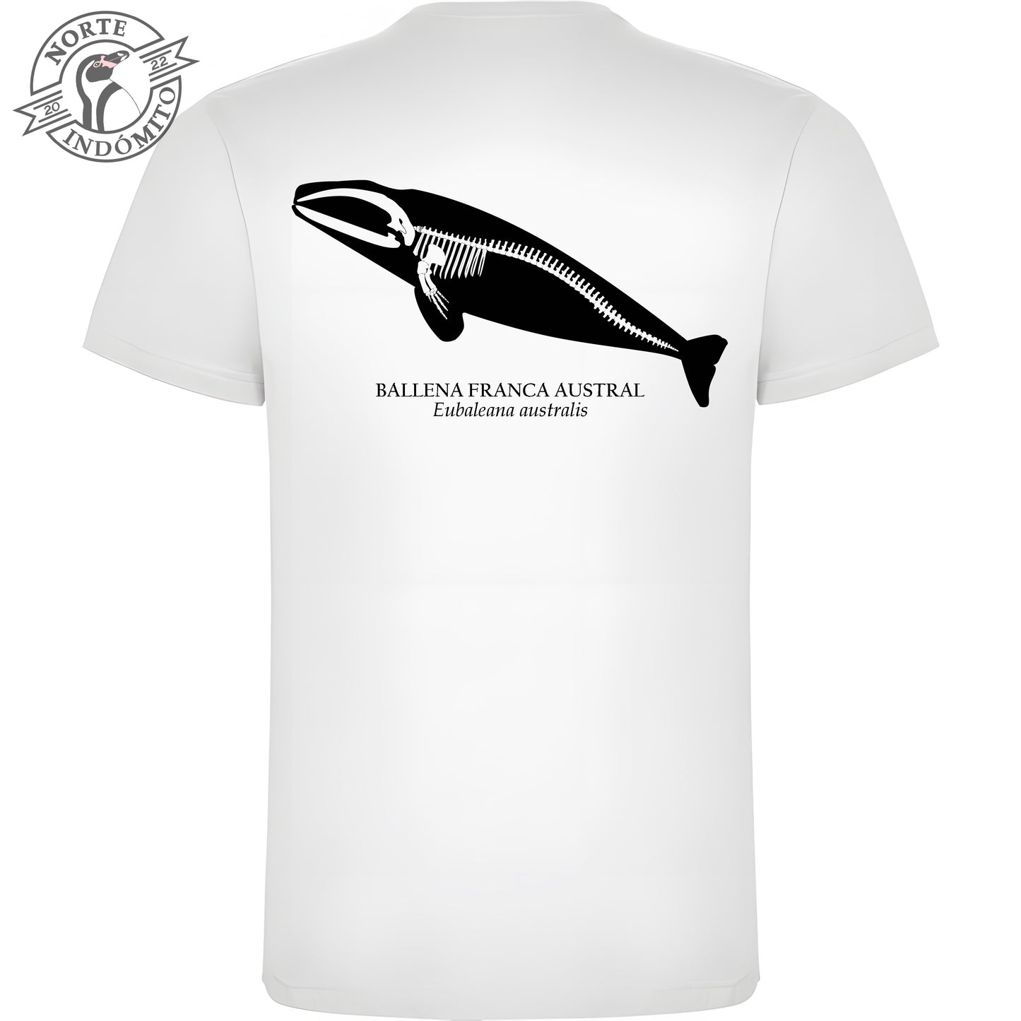 Polera - ballena franca austral esqueleto