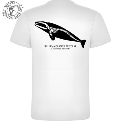 Polera - ballena franca austral esqueleto