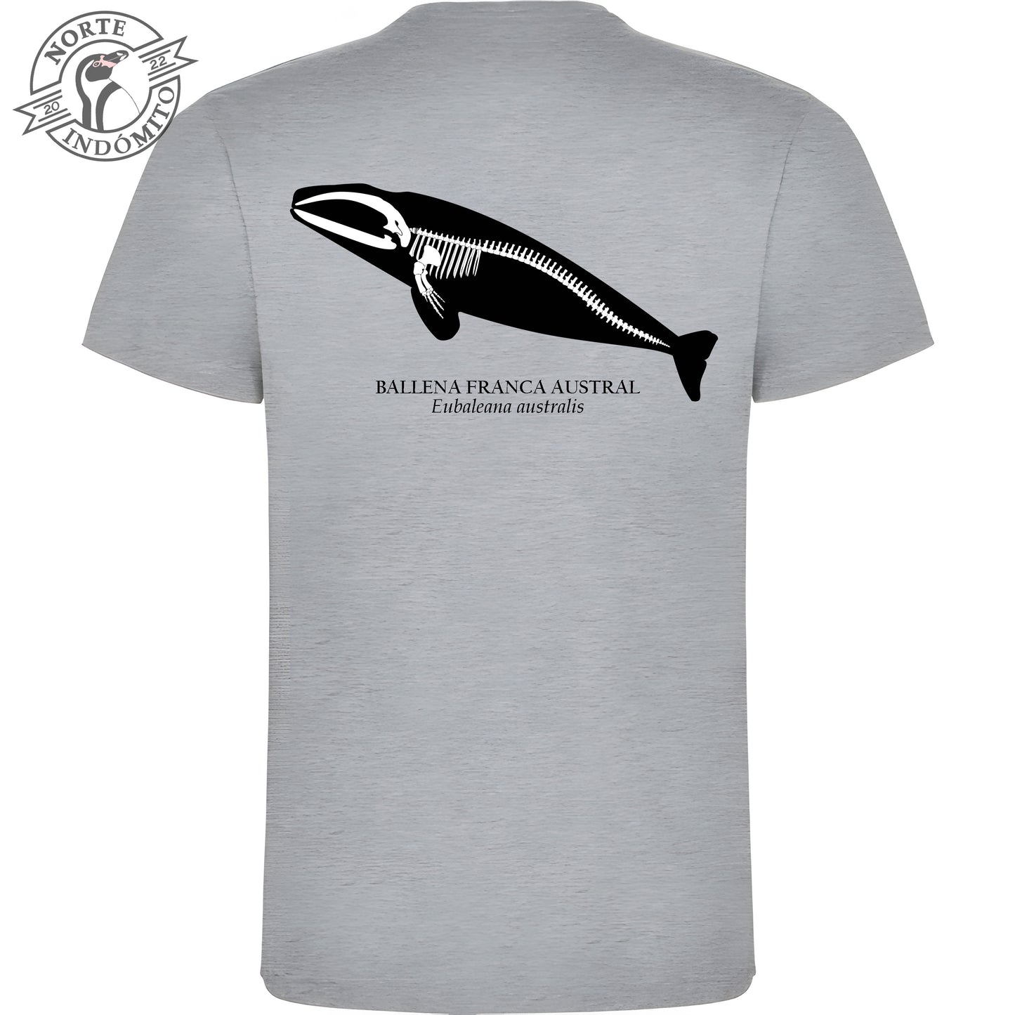 Polera - ballena franca austral esqueleto