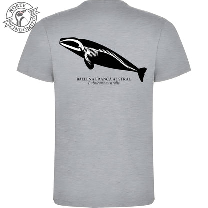 Polera - ballena franca austral esqueleto