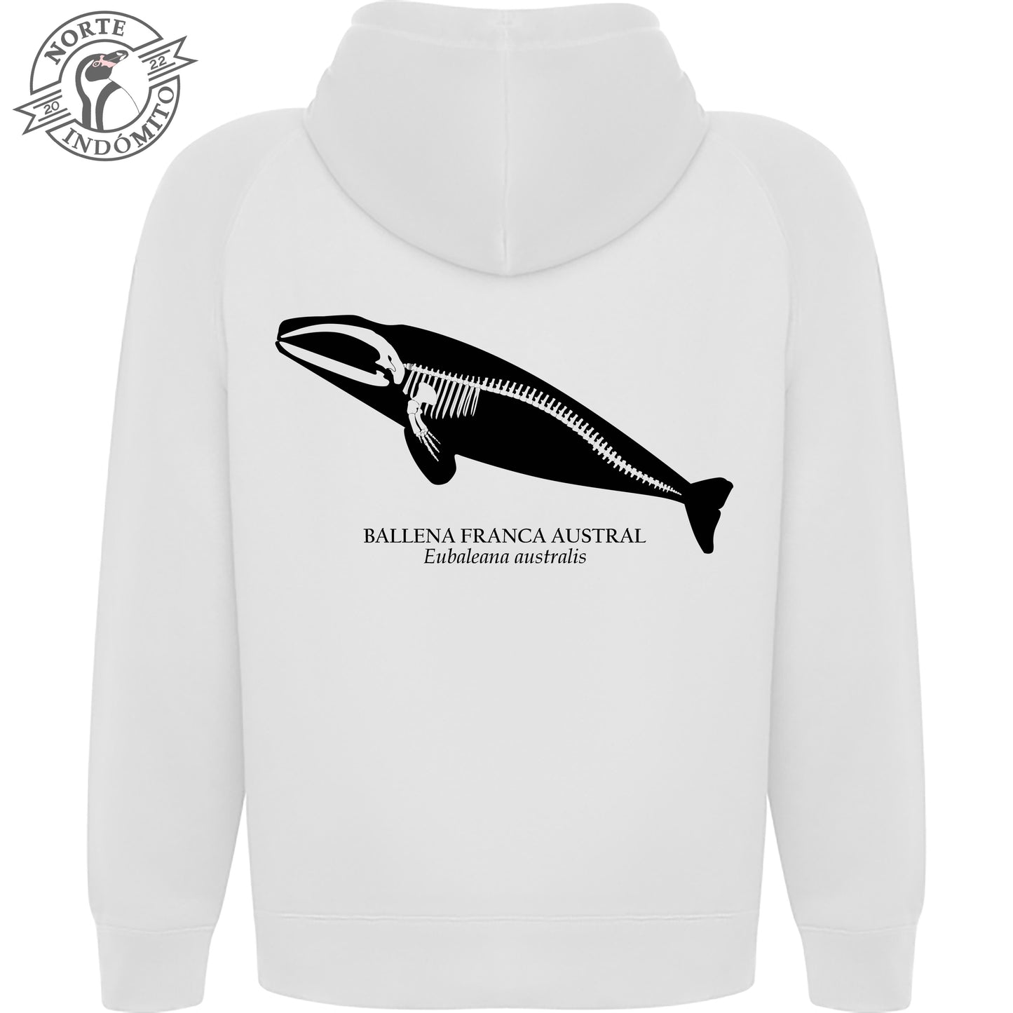 Polerón - ballena franca austral esqueleto