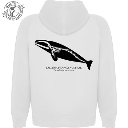 Polerón - ballena franca austral esqueleto