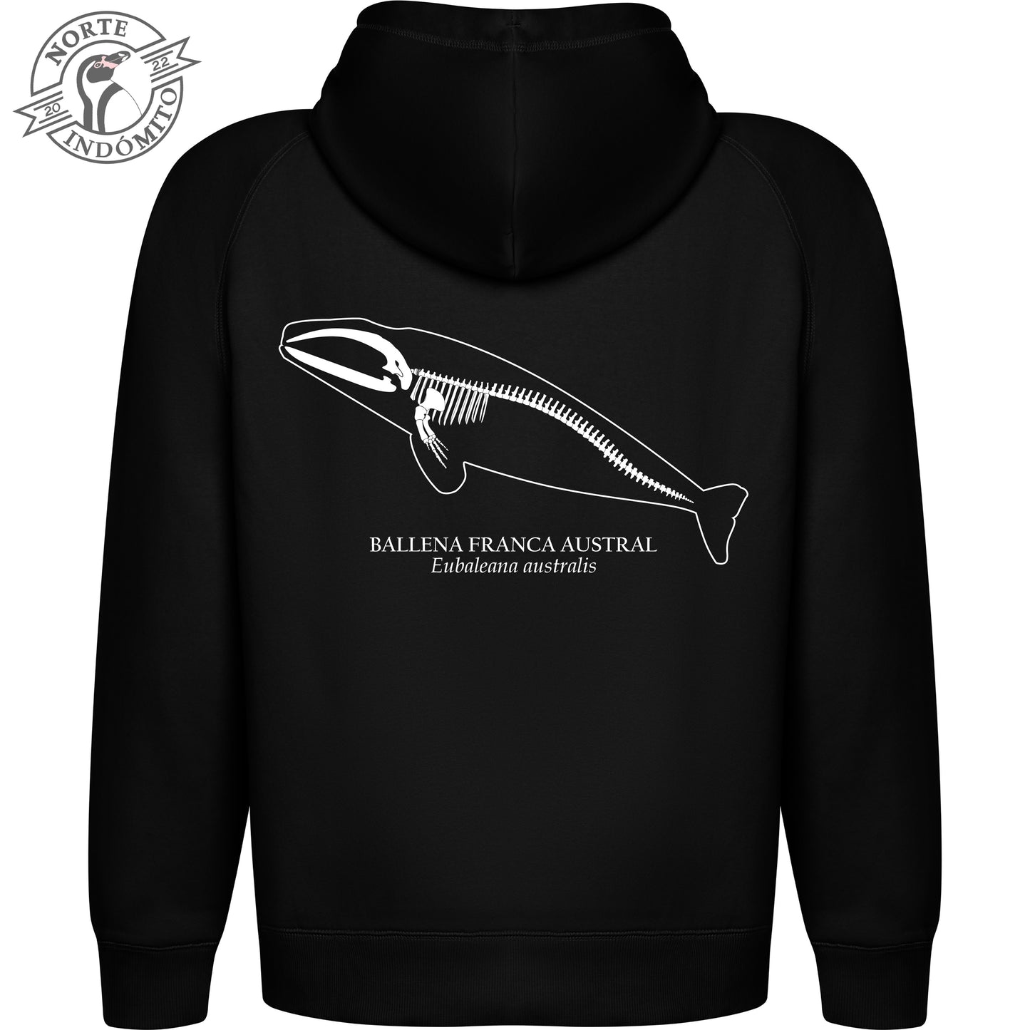 Polerón - ballena franca austral esqueleto