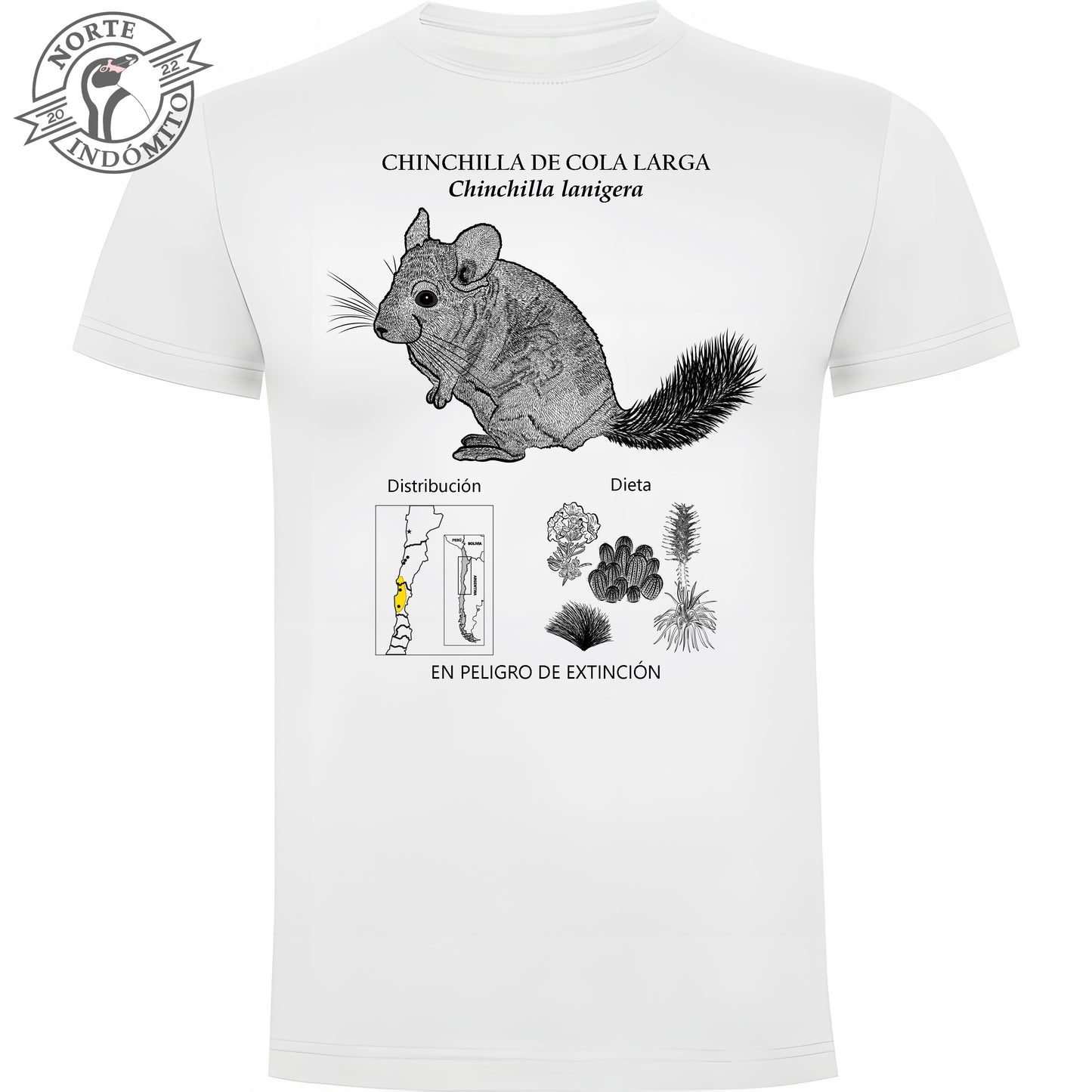 Polera - chinchilla de cola larga