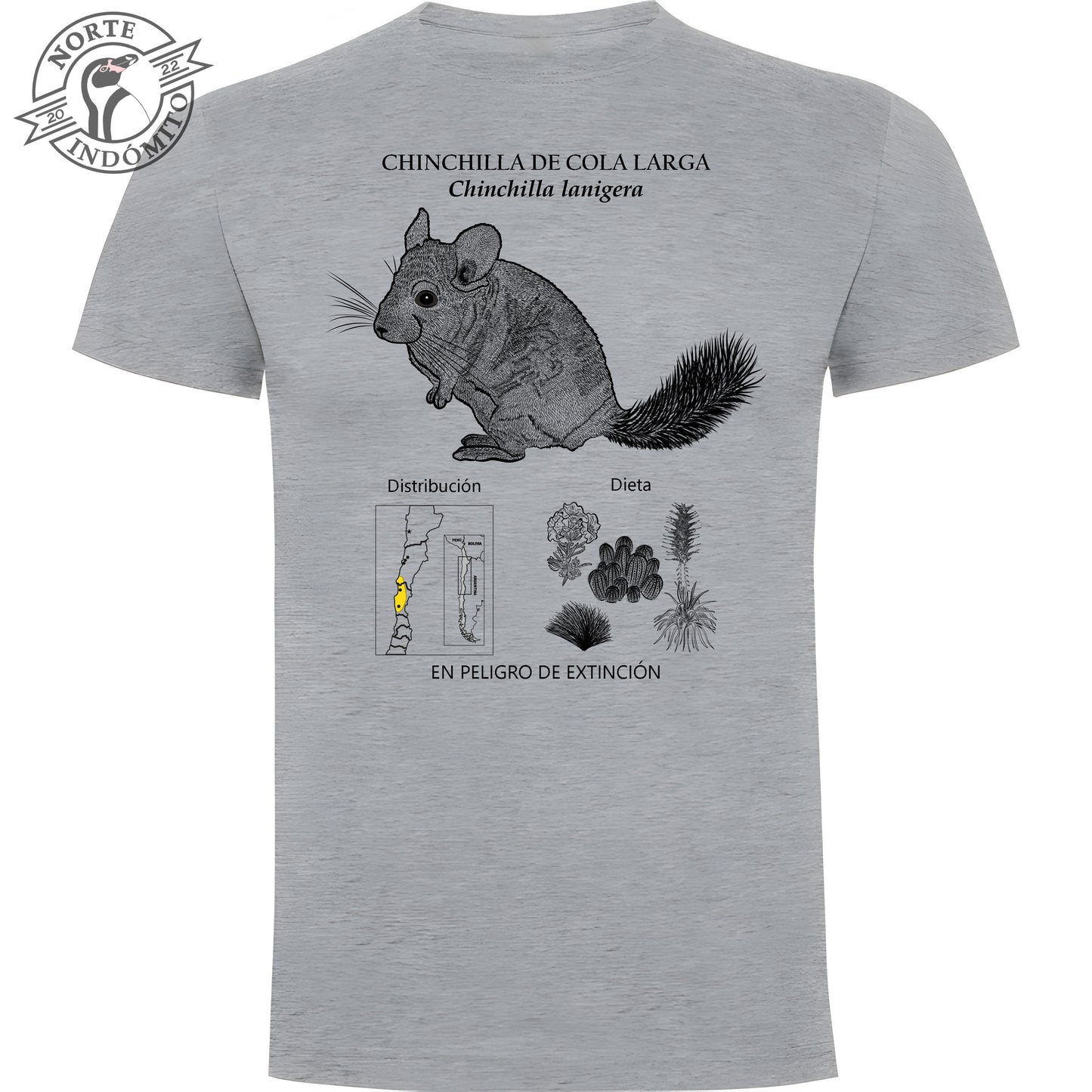 Polera - chinchilla de cola larga