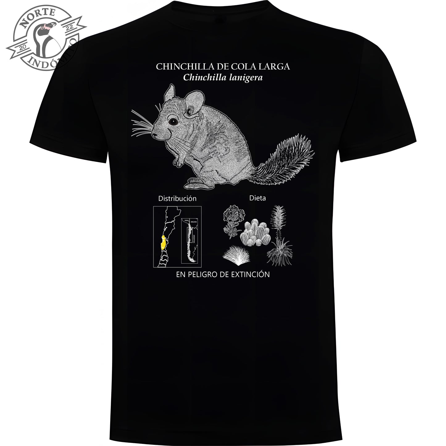 Polera - chinchilla de cola larga