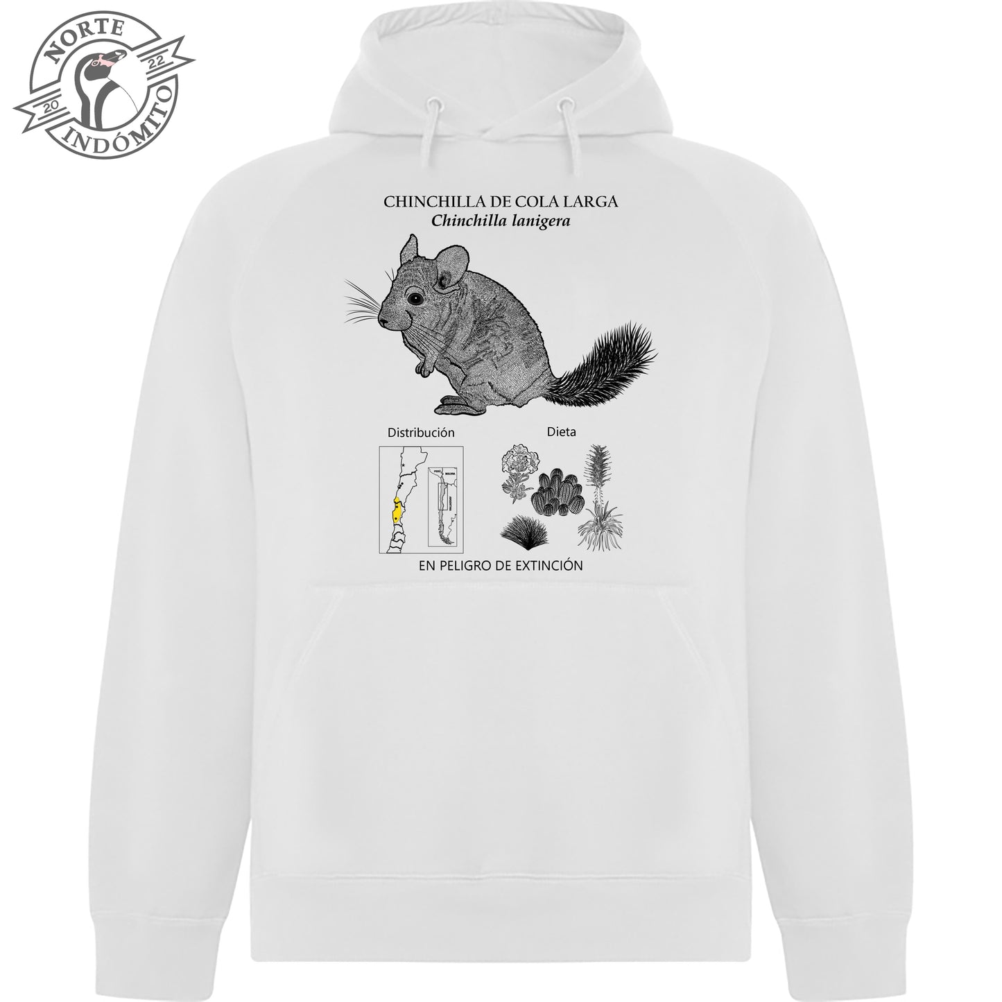 Polerón - chinchilla de cola larga