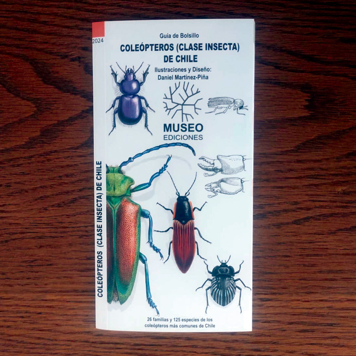 Guía de campo - coleópteros (clase insecta) de Chile