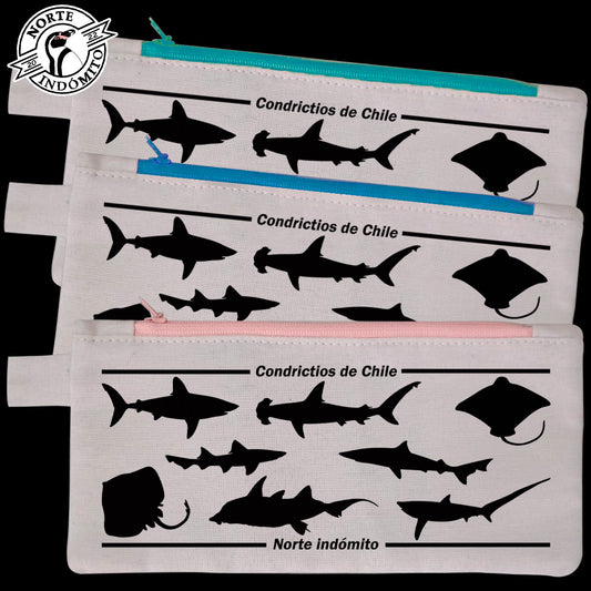 Estuche - condrictios silueta
