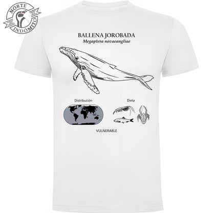 Polera - ballena jorobada distribución