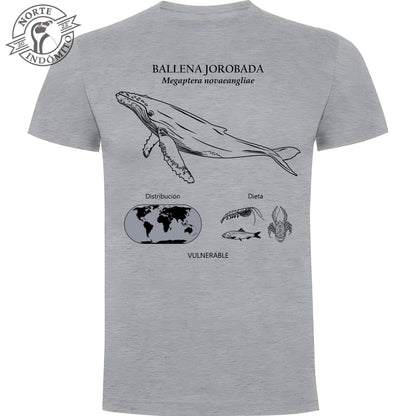 Polera - ballena jorobada distribución