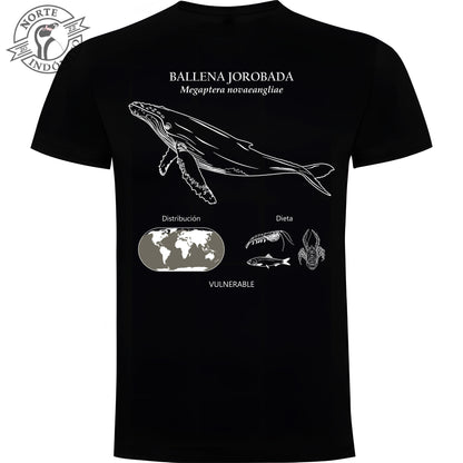 Polera - ballena jorobada distribución