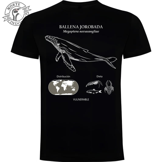 Polera - ballena jorobada distribución