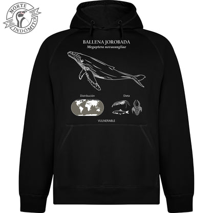 Polerón - ballena jorobada distribución