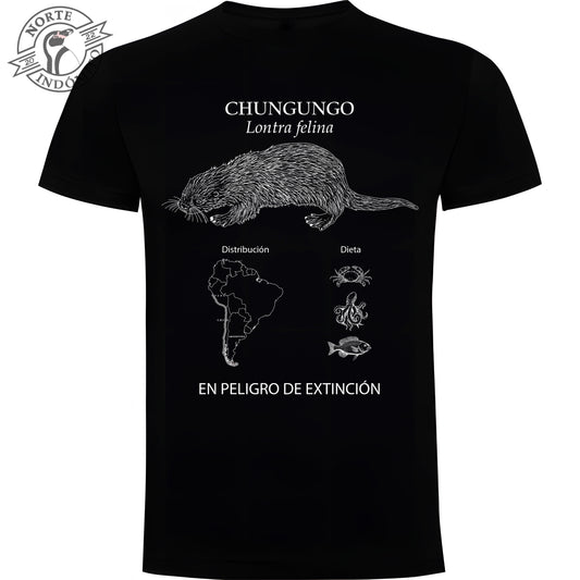 Polera - chungungo distribución