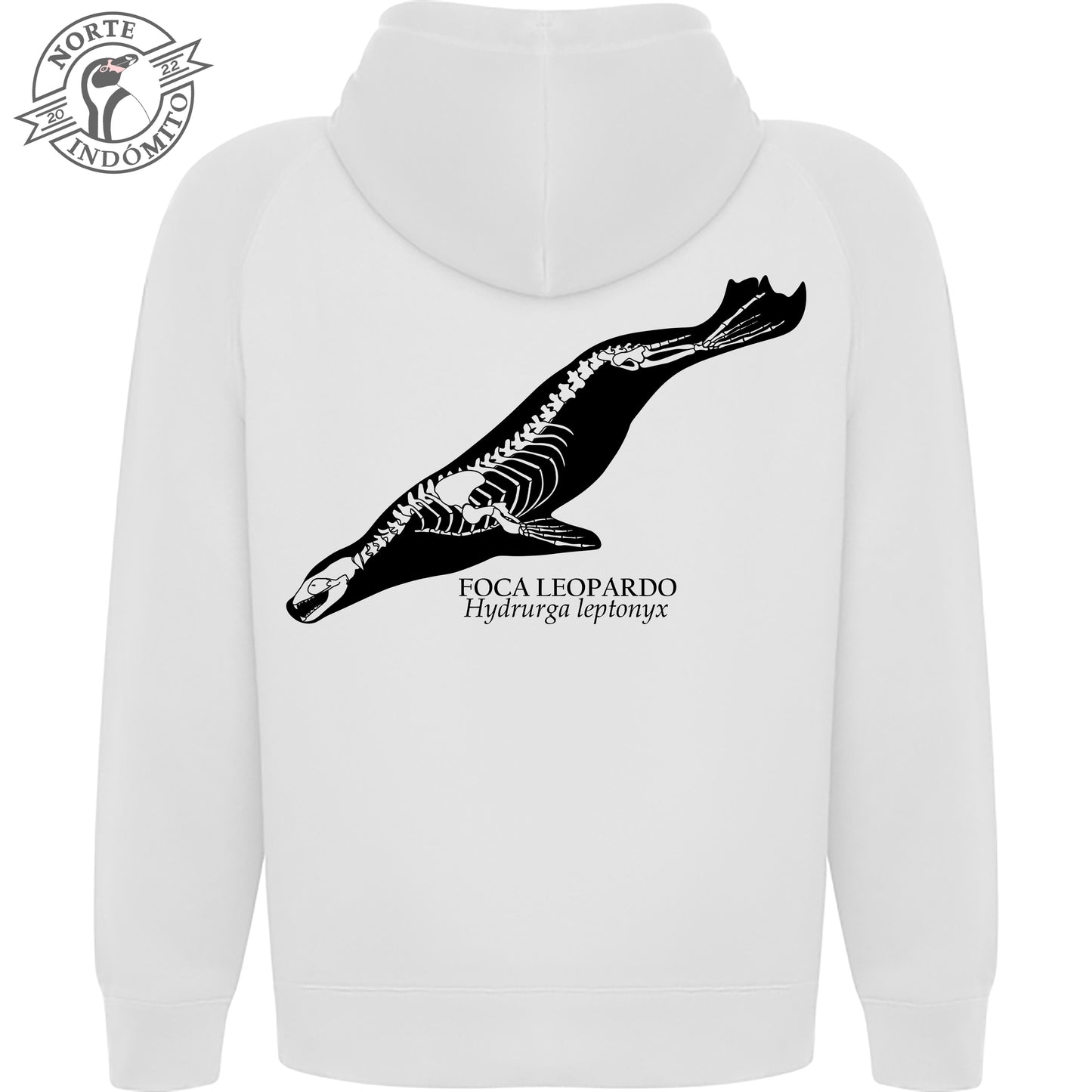 Polerón - foca leopardo esqueleto