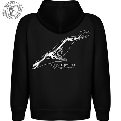 Polerón - foca leopardo esqueleto