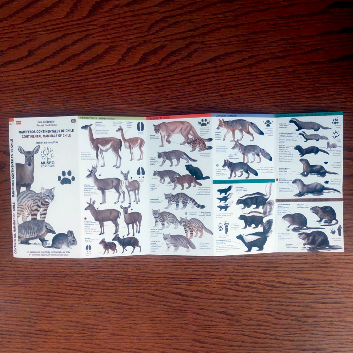 Guía de campo - mamíferos continentales de Chile