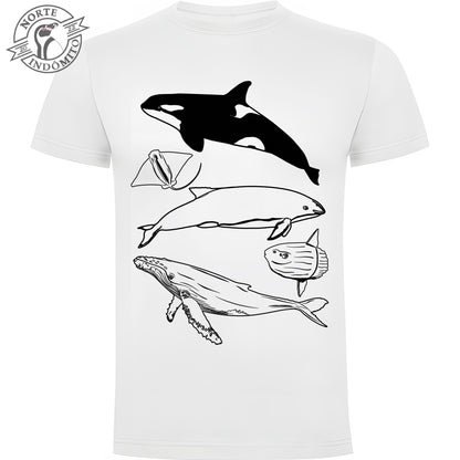 Polera - animales marinos