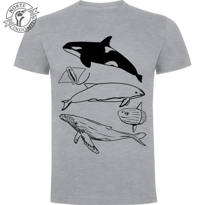 Polera - animales marinos
