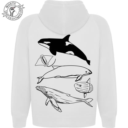 Polerón - animales marinos