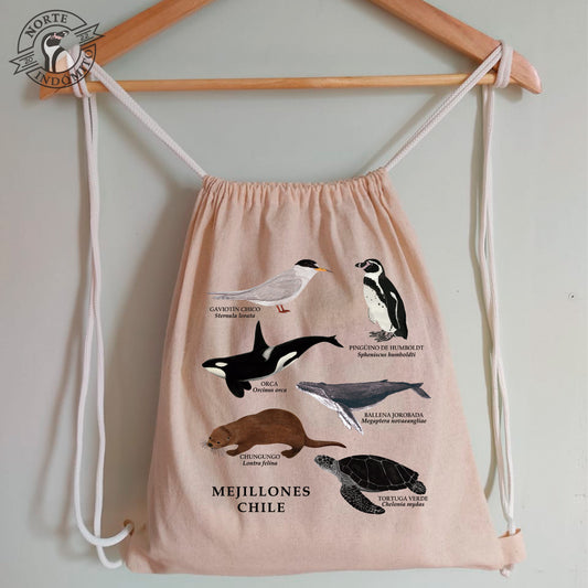 Mochila - fauna marina Mejillones