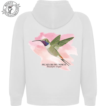 Polerón - picaflor del norte acuarela