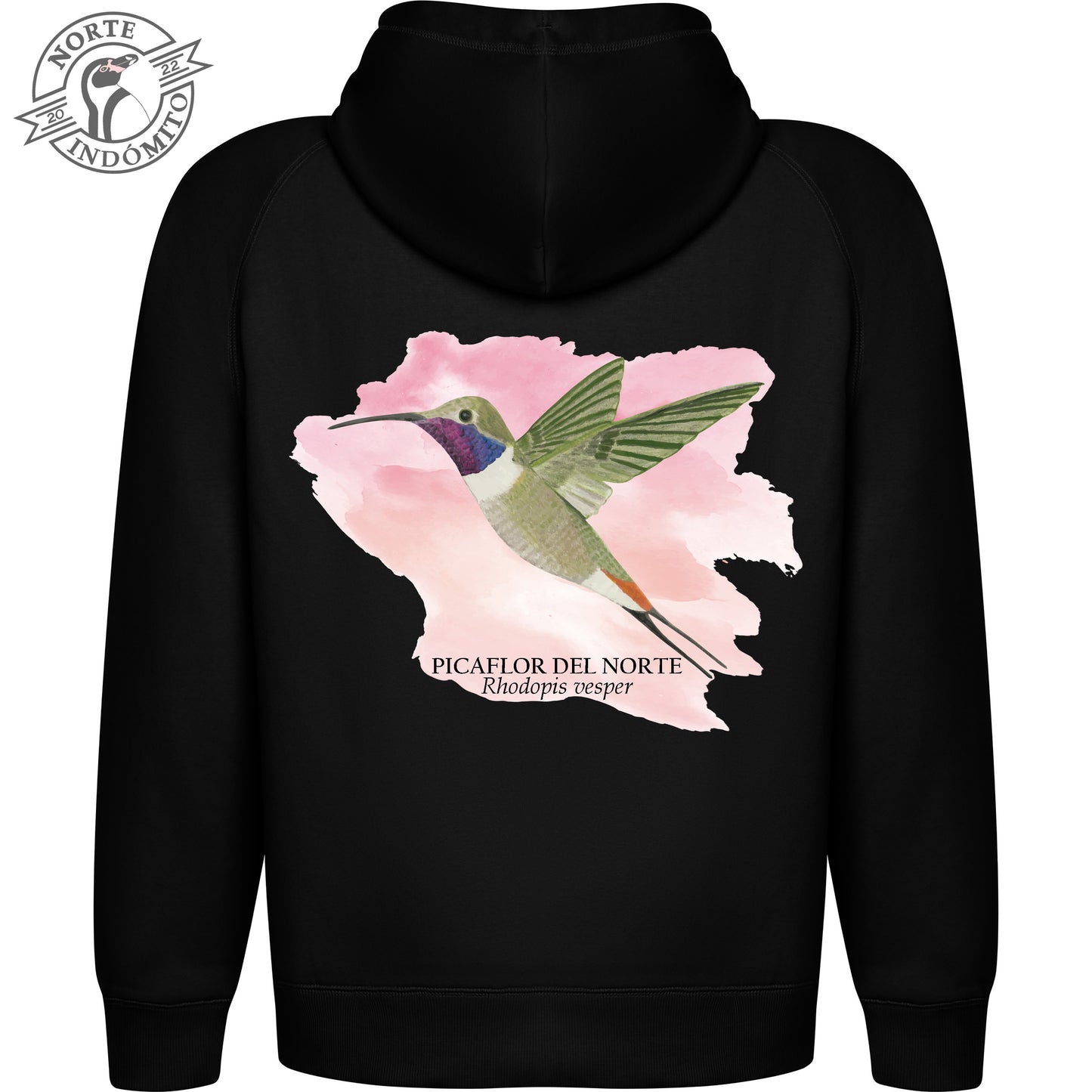 Polerón - picaflor del norte acuarela