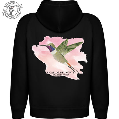 Polerón - picaflor del norte acuarela