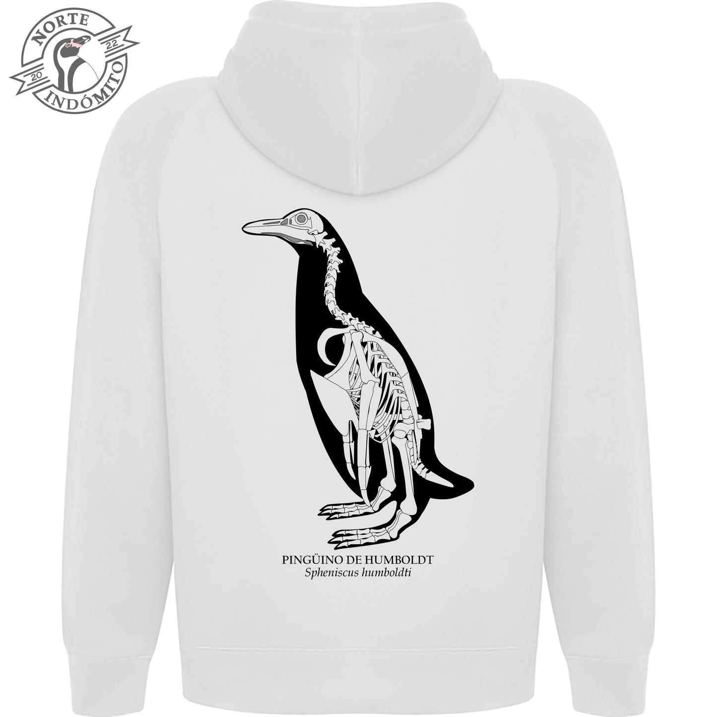 Polerón - pingüino de humboldt esqueleto