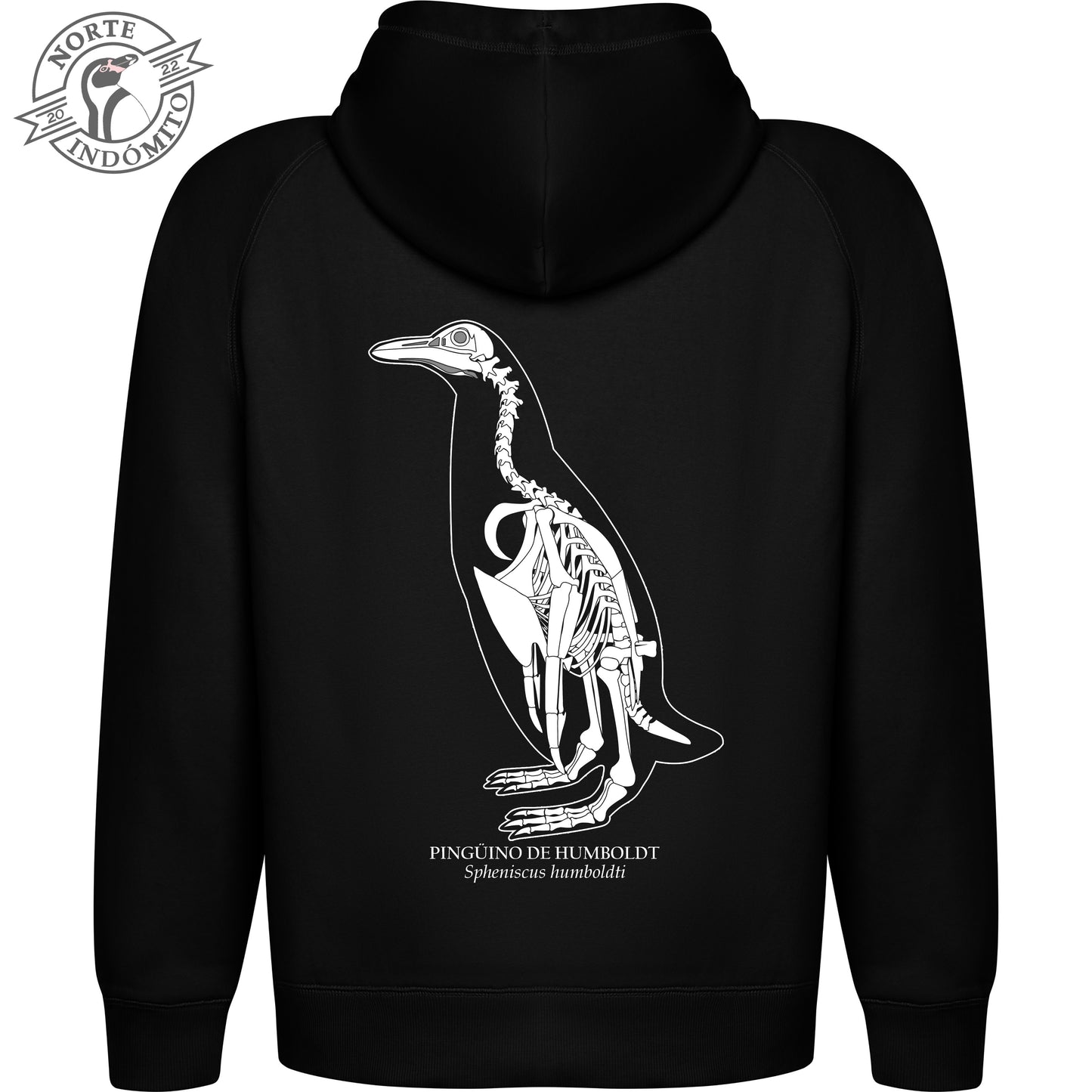 Polerón - pingüino de humboldt esqueleto