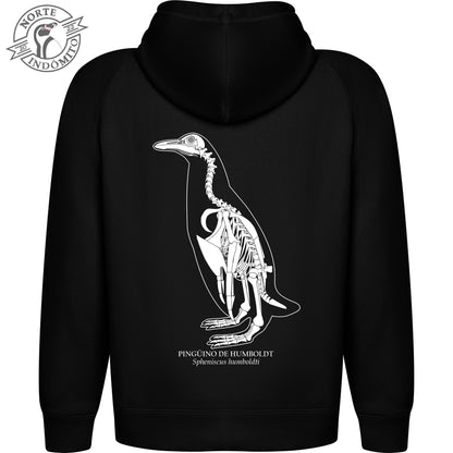 Polerón - pingüino de humboldt esqueleto