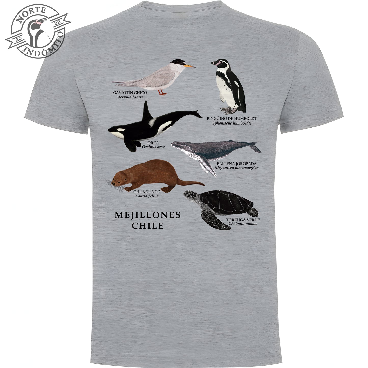 Polera - fauna marina Mejillones