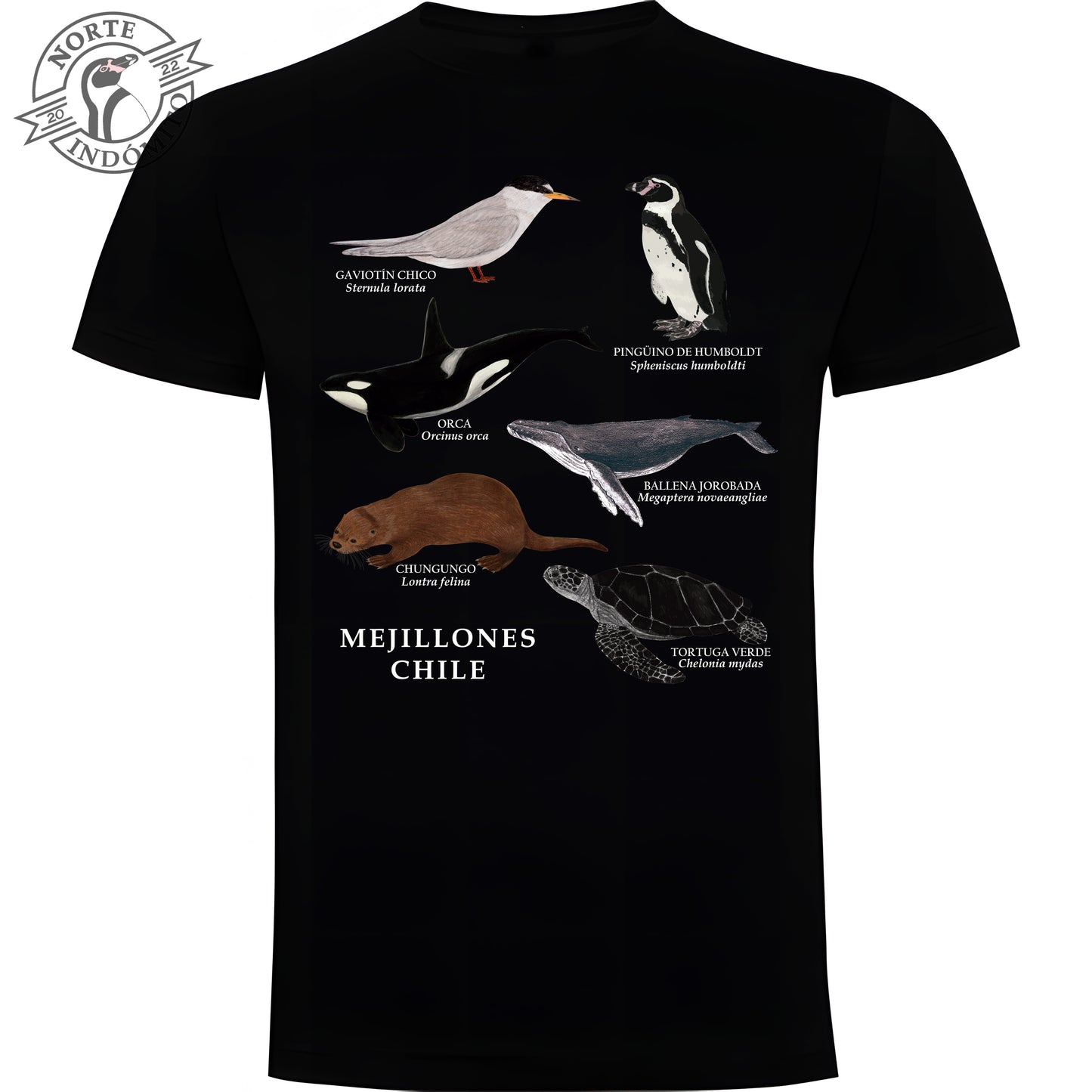 Polera - fauna marina Mejillones